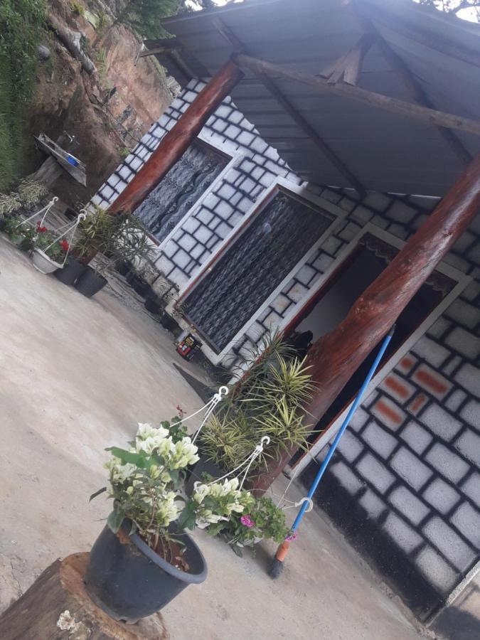 Ohiya Jungle Resort Luaran gambar