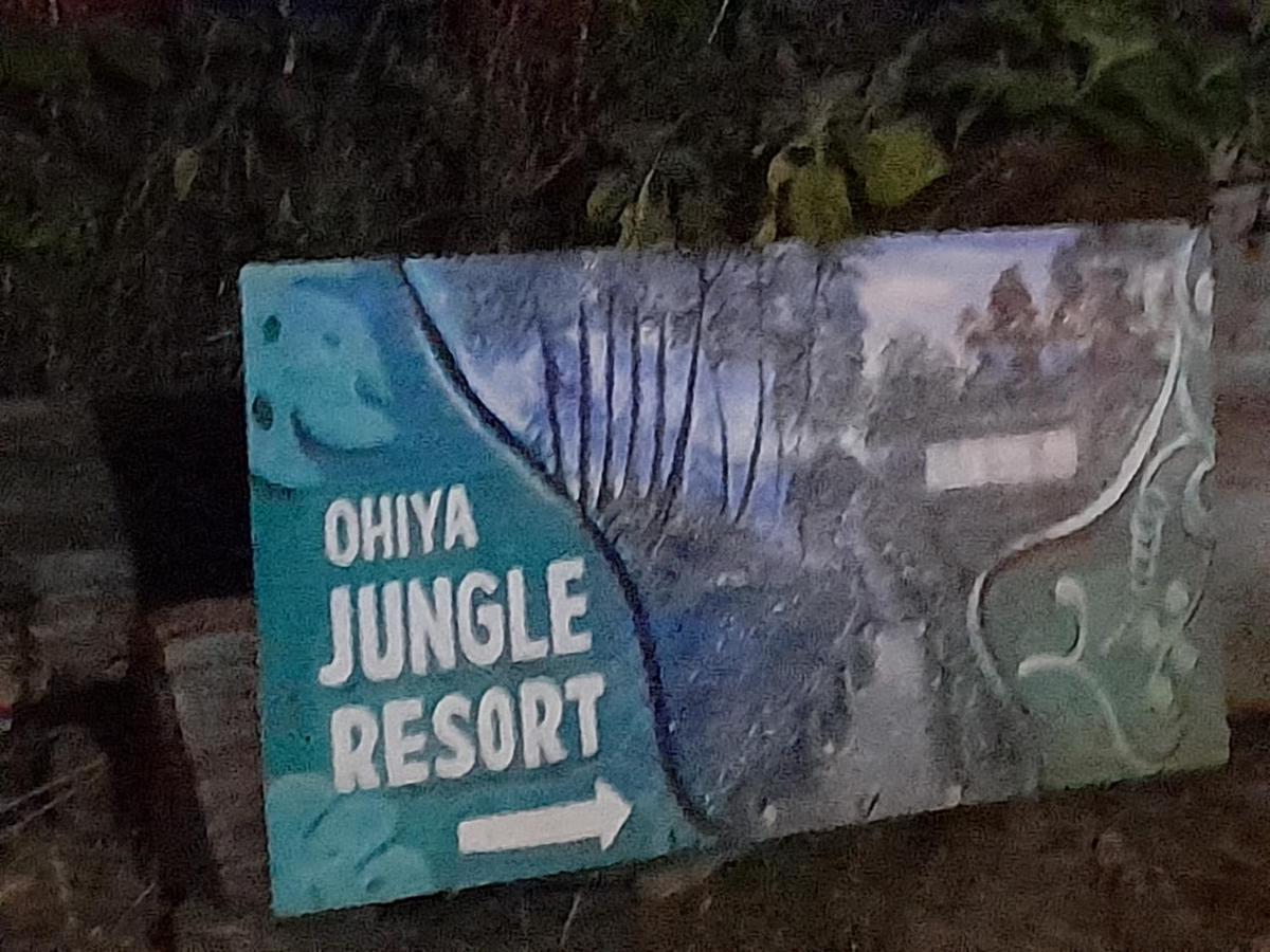 Ohiya Jungle Resort Luaran gambar