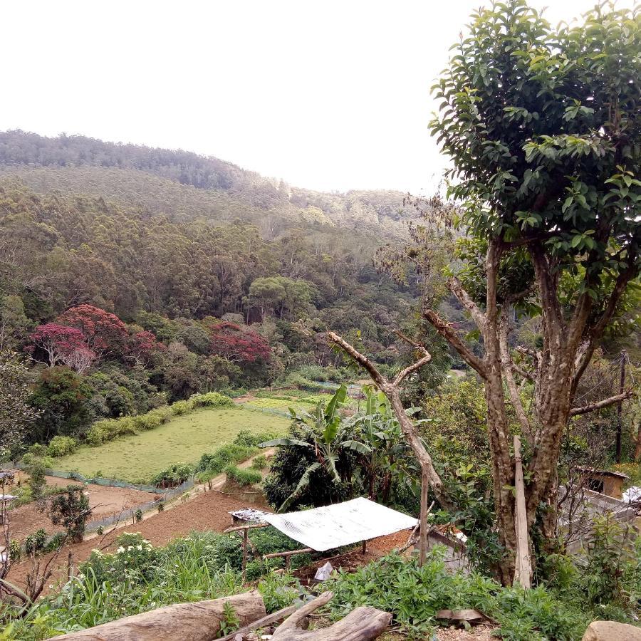 Ohiya Jungle Resort Luaran gambar